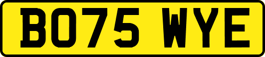 BO75WYE