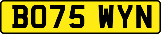 BO75WYN