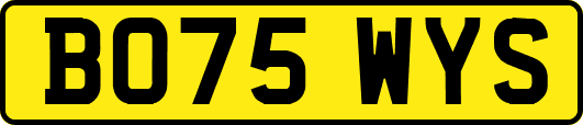 BO75WYS