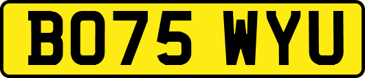 BO75WYU