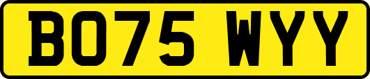 BO75WYY