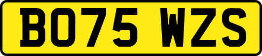 BO75WZS