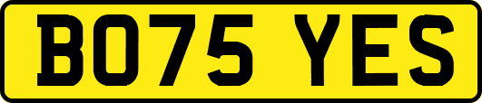 BO75YES