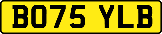 BO75YLB