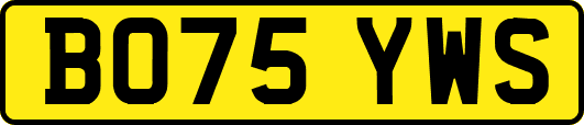 BO75YWS