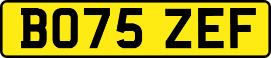 BO75ZEF