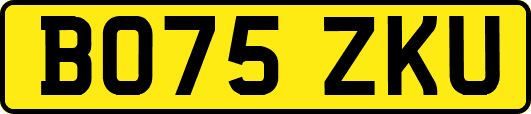 BO75ZKU