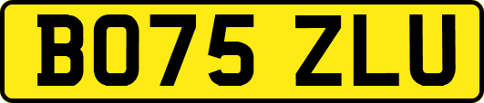BO75ZLU