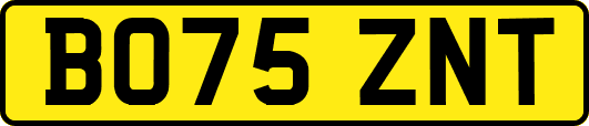 BO75ZNT