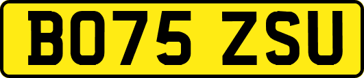 BO75ZSU