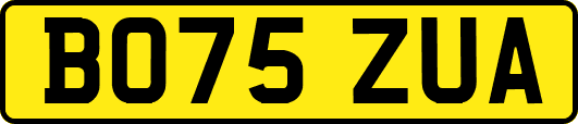 BO75ZUA