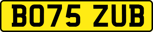BO75ZUB