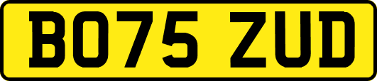 BO75ZUD
