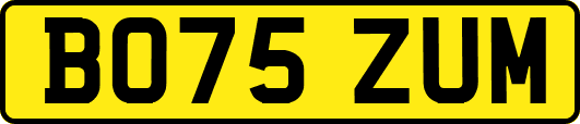 BO75ZUM