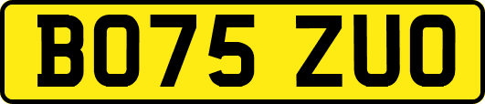 BO75ZUO