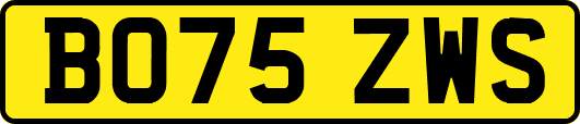 BO75ZWS