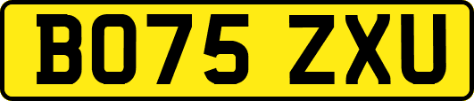 BO75ZXU