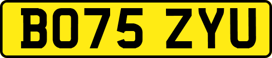 BO75ZYU