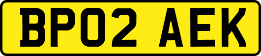 BP02AEK