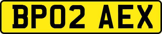 BP02AEX