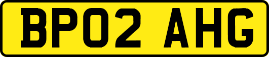 BP02AHG