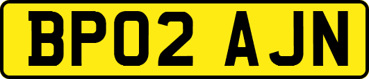 BP02AJN