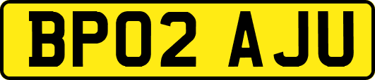 BP02AJU