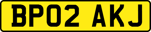 BP02AKJ