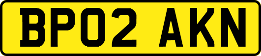 BP02AKN