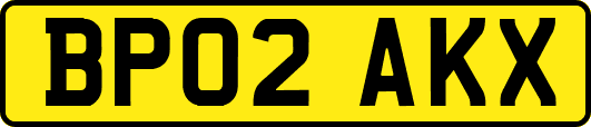 BP02AKX