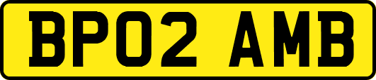 BP02AMB