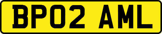 BP02AML