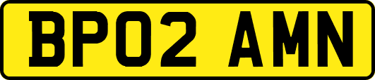 BP02AMN