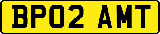 BP02AMT