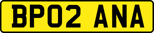 BP02ANA