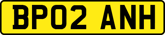 BP02ANH