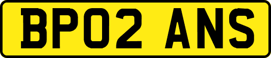 BP02ANS