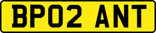 BP02ANT