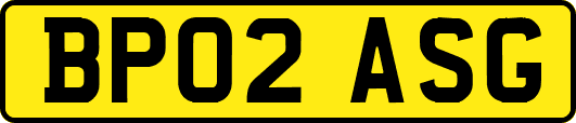 BP02ASG