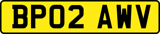 BP02AWV