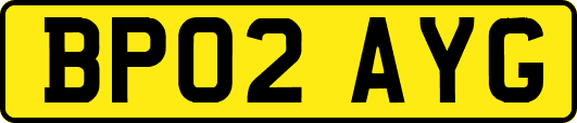 BP02AYG