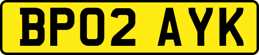 BP02AYK