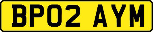 BP02AYM