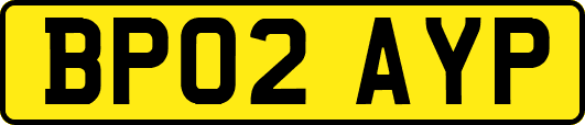 BP02AYP