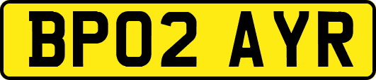 BP02AYR