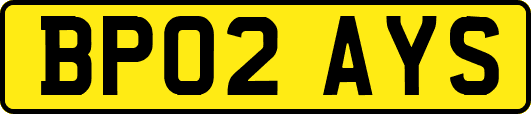 BP02AYS