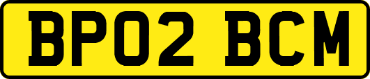 BP02BCM