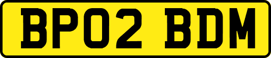 BP02BDM