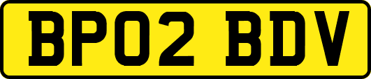 BP02BDV