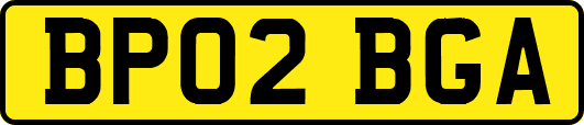 BP02BGA